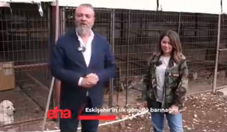 Hayvanlar ve Hayvan Severler